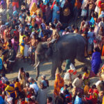 Elefant erster in den Ganges geht