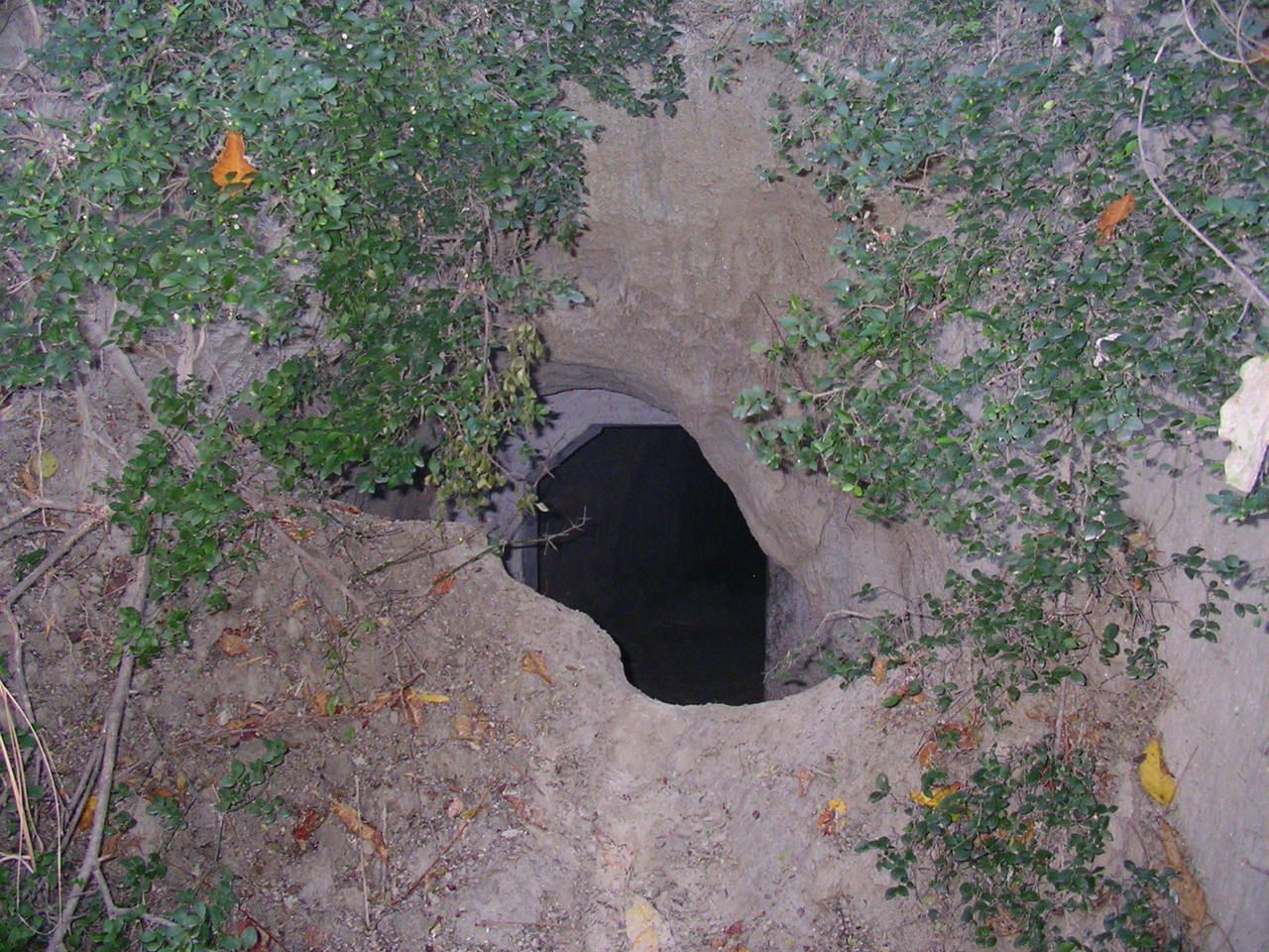  Höhle in der Prakriti-Farm